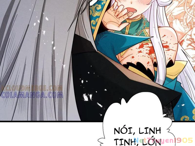 Gặp Mạnh Thì Mạnh, Ta Tu Vi Vô Thượng Hạn Chapter 62 - Trang 2