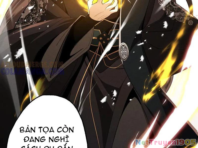 Gặp Mạnh Thì Mạnh, Ta Tu Vi Vô Thượng Hạn Chapter 62 - Trang 2
