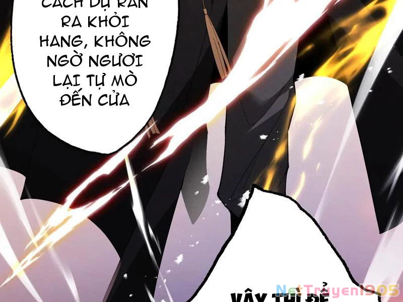 Gặp Mạnh Thì Mạnh, Ta Tu Vi Vô Thượng Hạn Chapter 62 - Trang 2