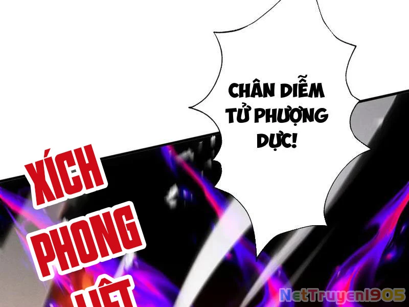 Gặp Mạnh Thì Mạnh, Ta Tu Vi Vô Thượng Hạn Chapter 64 - Trang 2