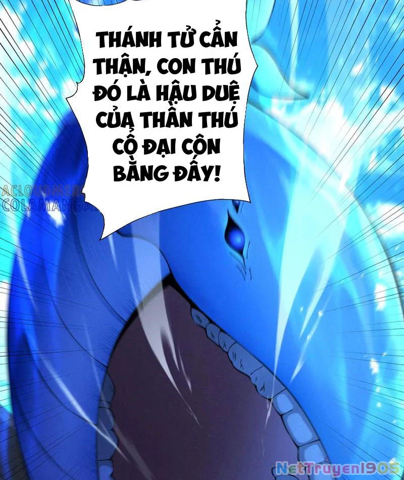 Gặp Mạnh Thì Mạnh, Ta Tu Vi Vô Thượng Hạn Chapter 67 - Trang 2