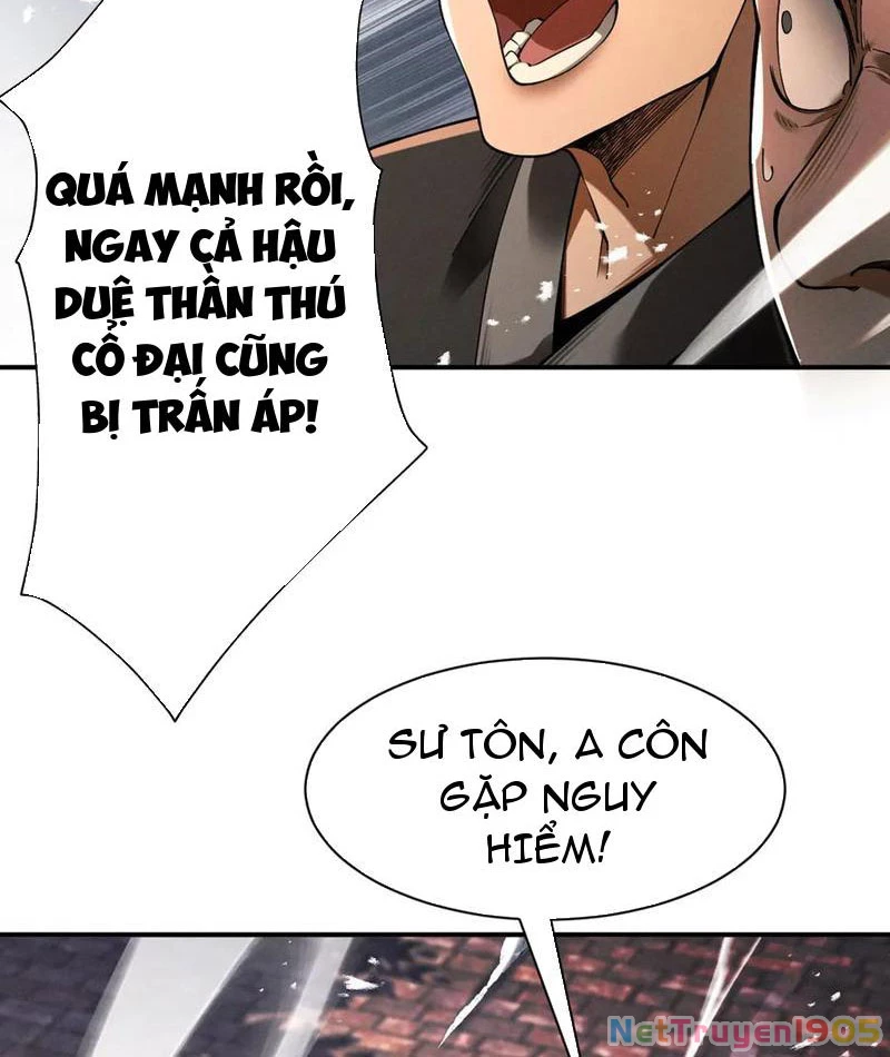 Gặp Mạnh Thì Mạnh, Ta Tu Vi Vô Thượng Hạn Chapter 67 - Trang 2