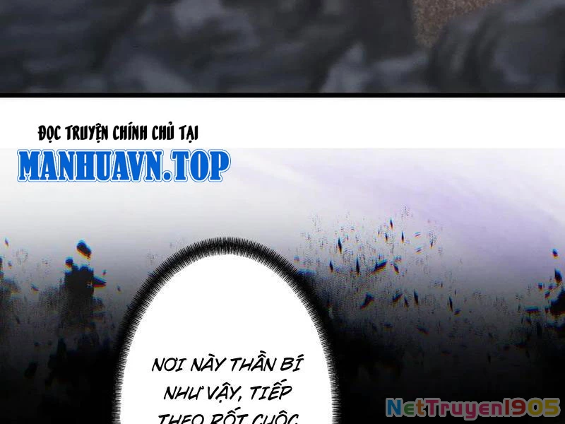 Gặp Mạnh Thì Mạnh, Ta Tu Vi Vô Thượng Hạn Chapter 69 - Trang 2