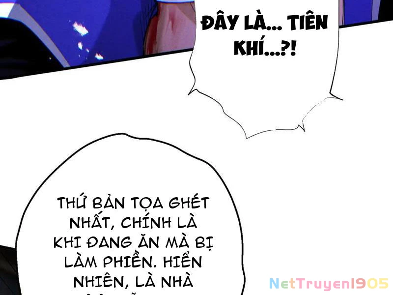 Gặp Mạnh Thì Mạnh, Ta Tu Vi Vô Thượng Hạn Chapter 69 - Trang 2