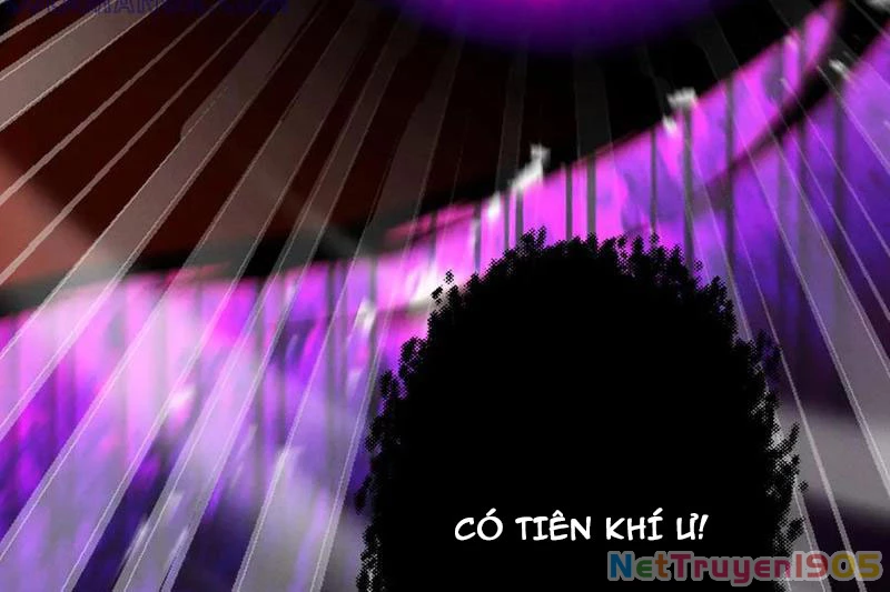 Gặp Mạnh Thì Mạnh, Ta Tu Vi Vô Thượng Hạn Chapter 70 - Trang 2