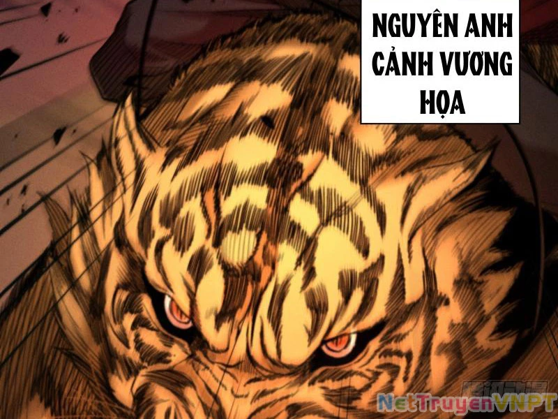 Gặp Mạnh Thì Mạnh, Ta Tu Vi Vô Thượng Hạn Chapter 34 - Trang 2