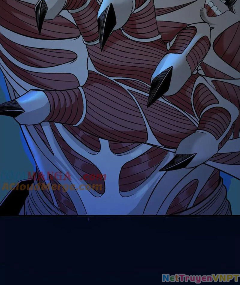 Gặp Mạnh Thì Mạnh, Ta Tu Vi Vô Thượng Hạn Chapter 36 - Trang 2