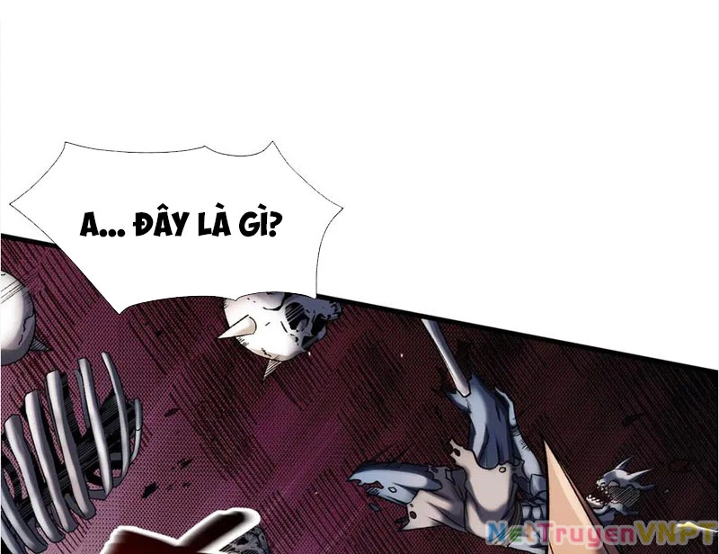 Gặp Mạnh Thì Mạnh, Ta Tu Vi Vô Thượng Hạn Chapter 37 - Trang 2