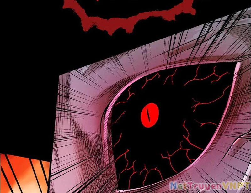 Gặp Mạnh Thì Mạnh, Ta Tu Vi Vô Thượng Hạn Chapter 37 - Trang 2