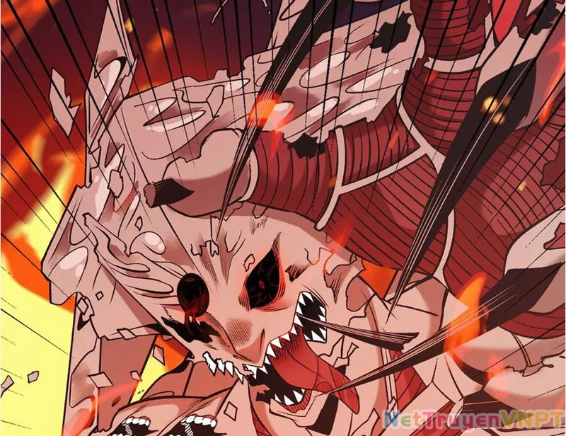 Gặp Mạnh Thì Mạnh, Ta Tu Vi Vô Thượng Hạn Chapter 37 - Trang 2