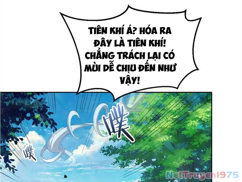 Gặp Mạnh Thì Mạnh, Ta Tu Vi Vô Thượng Hạn Chapter 39 - Trang 2