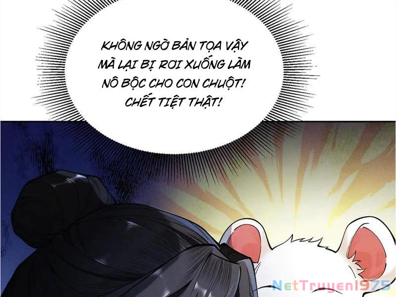 Gặp Mạnh Thì Mạnh, Ta Tu Vi Vô Thượng Hạn Chapter 39 - Trang 2