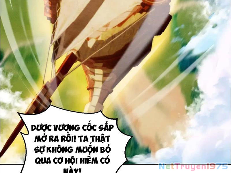 Gặp Mạnh Thì Mạnh, Ta Tu Vi Vô Thượng Hạn Chapter 39 - Trang 2