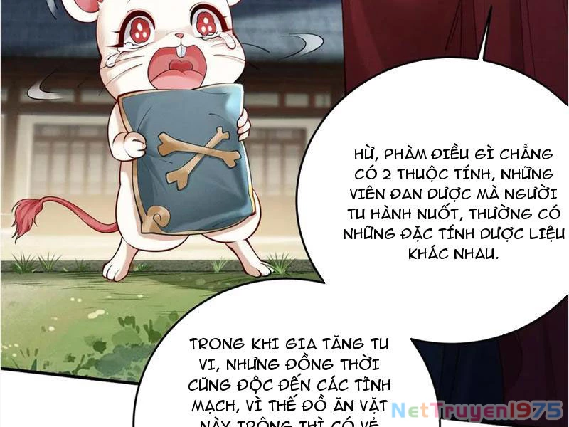 Gặp Mạnh Thì Mạnh, Ta Tu Vi Vô Thượng Hạn Chapter 39 - Trang 2