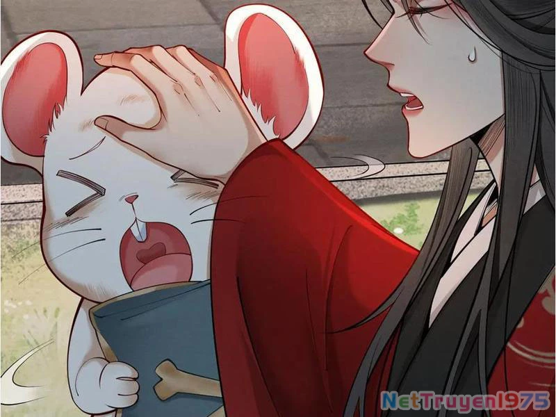 Gặp Mạnh Thì Mạnh, Ta Tu Vi Vô Thượng Hạn Chapter 39 - Trang 2