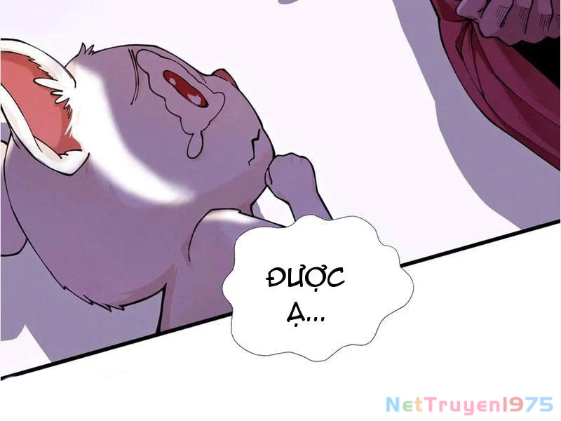 Gặp Mạnh Thì Mạnh, Ta Tu Vi Vô Thượng Hạn Chapter 39 - Trang 2