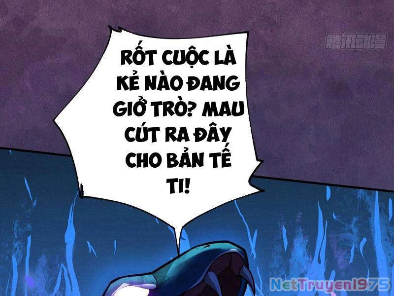 Gặp Mạnh Thì Mạnh, Ta Tu Vi Vô Thượng Hạn Chapter 42 - Trang 2