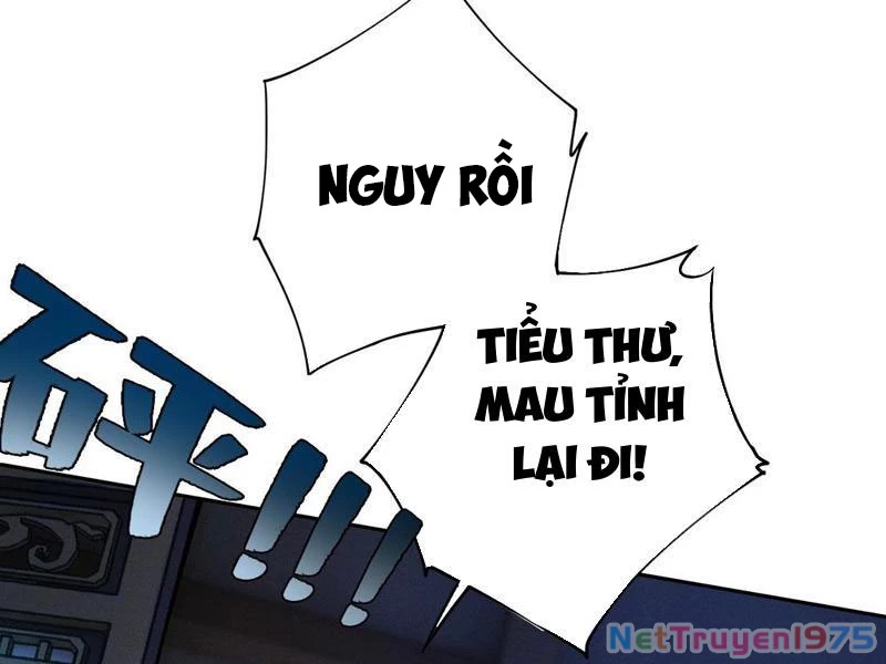 Gặp Mạnh Thì Mạnh, Ta Tu Vi Vô Thượng Hạn Chapter 42 - Trang 2