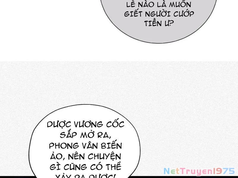 Gặp Mạnh Thì Mạnh, Ta Tu Vi Vô Thượng Hạn Chapter 42 - Trang 2