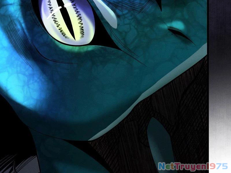 Gặp Mạnh Thì Mạnh, Ta Tu Vi Vô Thượng Hạn Chapter 42 - Trang 2