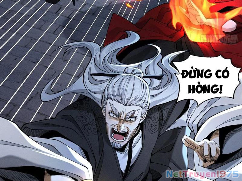 Gặp Mạnh Thì Mạnh, Ta Tu Vi Vô Thượng Hạn Chapter 42 - Trang 2