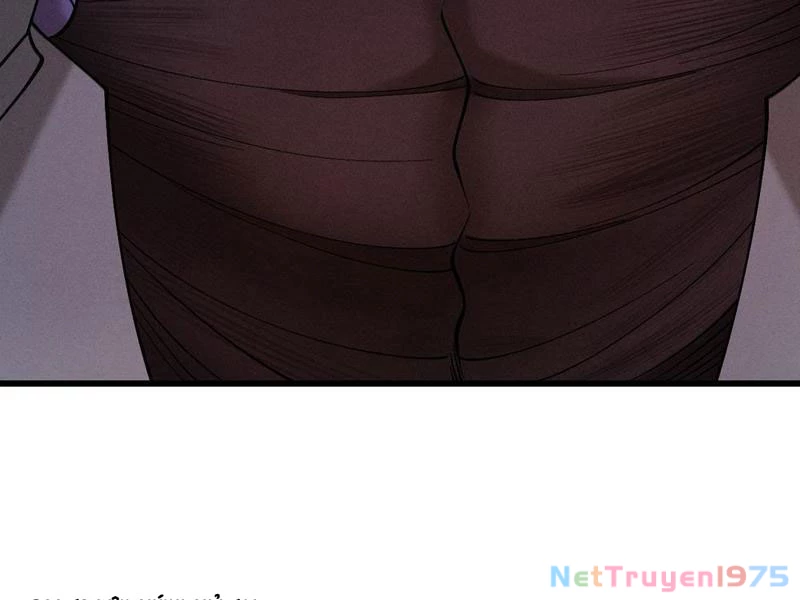 Gặp Mạnh Thì Mạnh, Ta Tu Vi Vô Thượng Hạn Chapter 42 - Trang 2