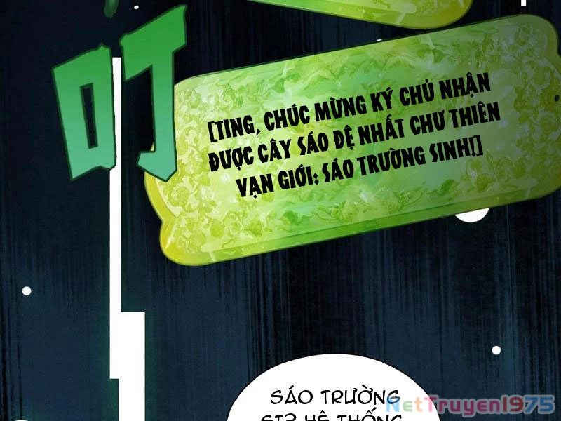 Gặp Mạnh Thì Mạnh, Ta Tu Vi Vô Thượng Hạn Chapter 42 - Trang 2