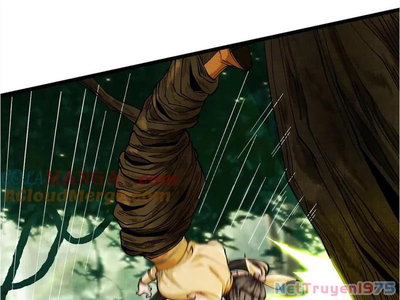 Gặp Mạnh Thì Mạnh, Ta Tu Vi Vô Thượng Hạn Chapter 45 - Trang 2