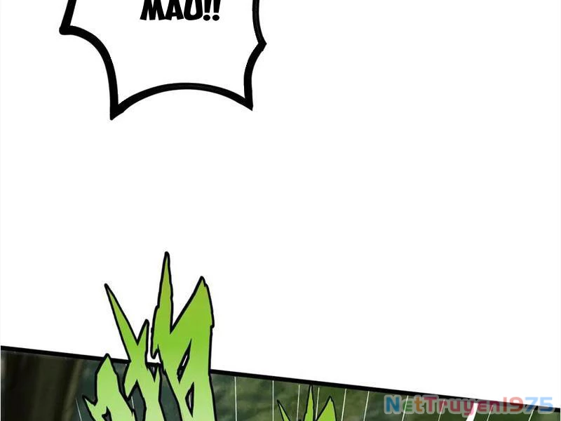 Gặp Mạnh Thì Mạnh, Ta Tu Vi Vô Thượng Hạn Chapter 45 - Trang 2