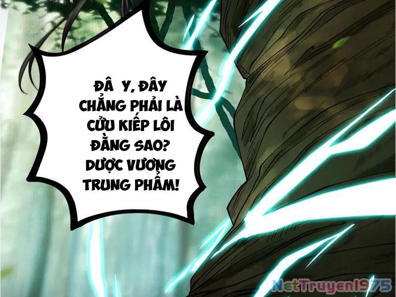 Gặp Mạnh Thì Mạnh, Ta Tu Vi Vô Thượng Hạn Chapter 45 - Trang 2