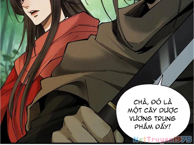 Gặp Mạnh Thì Mạnh, Ta Tu Vi Vô Thượng Hạn Chapter 45 - Trang 2