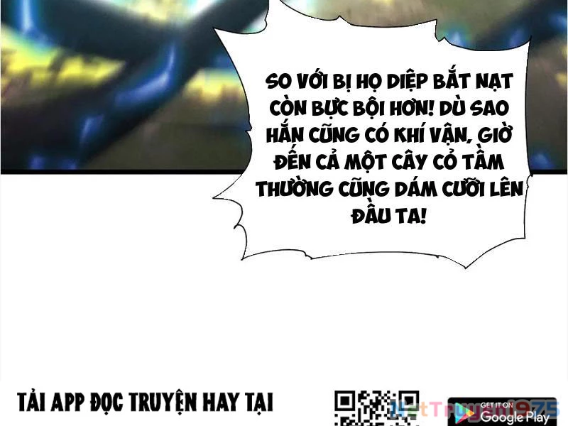 Gặp Mạnh Thì Mạnh, Ta Tu Vi Vô Thượng Hạn Chapter 45 - Trang 2