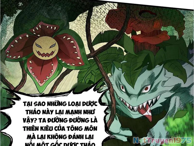 Gặp Mạnh Thì Mạnh, Ta Tu Vi Vô Thượng Hạn Chapter 45 - Trang 2