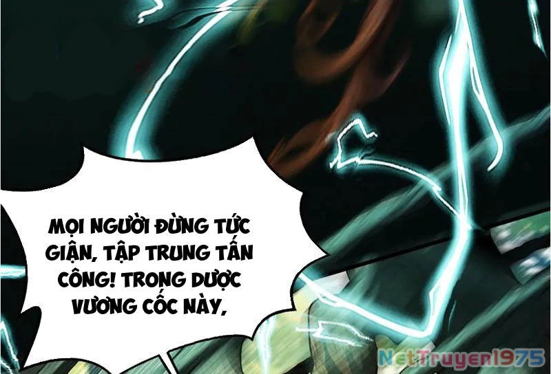 Gặp Mạnh Thì Mạnh, Ta Tu Vi Vô Thượng Hạn Chapter 45 - Trang 2