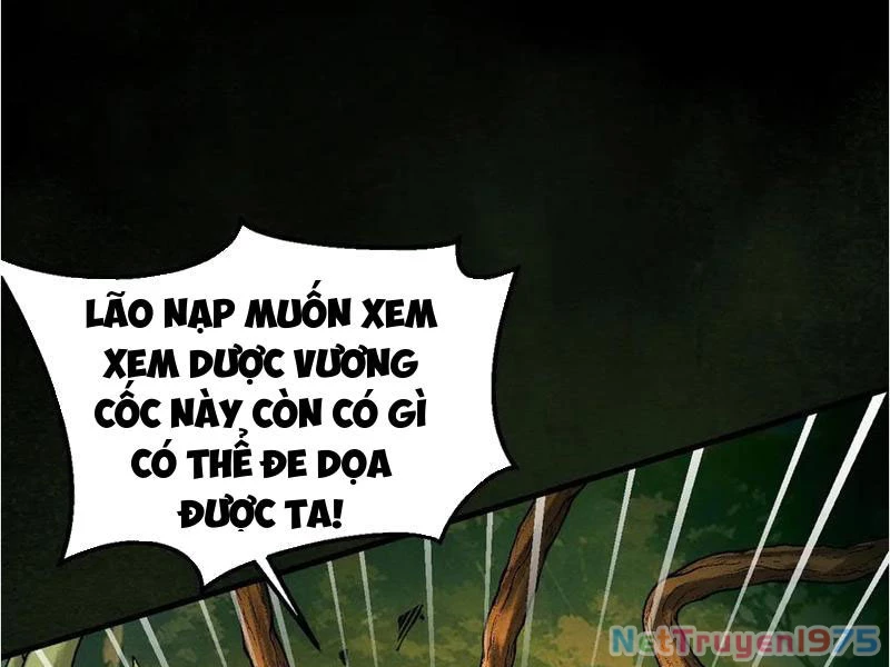 Gặp Mạnh Thì Mạnh, Ta Tu Vi Vô Thượng Hạn Chapter 45 - Trang 2