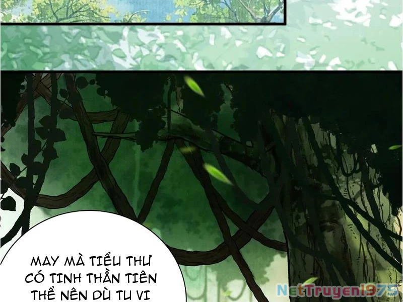 Gặp Mạnh Thì Mạnh, Ta Tu Vi Vô Thượng Hạn Chapter 45 - Trang 2