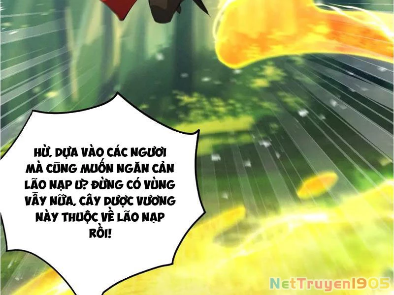 Gặp Mạnh Thì Mạnh, Ta Tu Vi Vô Thượng Hạn Chapter 47 - Trang 2