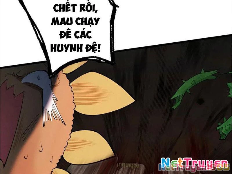 Gặp Mạnh Thì Mạnh, Ta Tu Vi Vô Thượng Hạn Chapter 47 - Trang 2