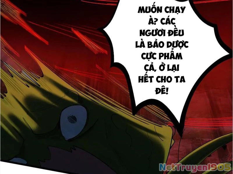 Gặp Mạnh Thì Mạnh, Ta Tu Vi Vô Thượng Hạn Chapter 47 - Trang 2