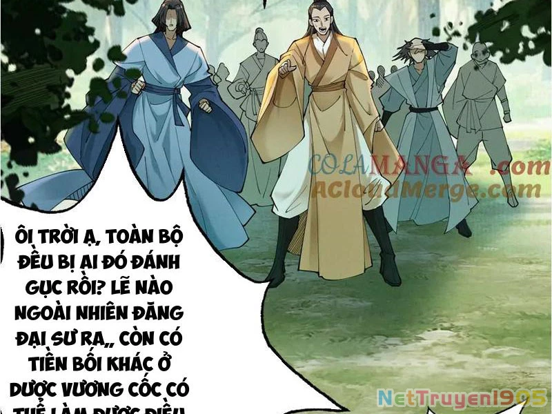 Gặp Mạnh Thì Mạnh, Ta Tu Vi Vô Thượng Hạn Chapter 47 - Trang 2
