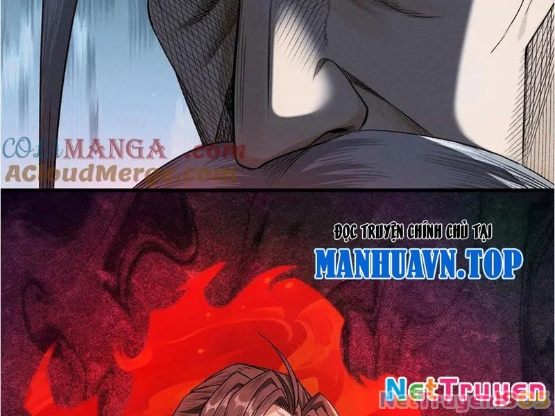 Gặp Mạnh Thì Mạnh, Ta Tu Vi Vô Thượng Hạn Chapter 47 - Trang 2