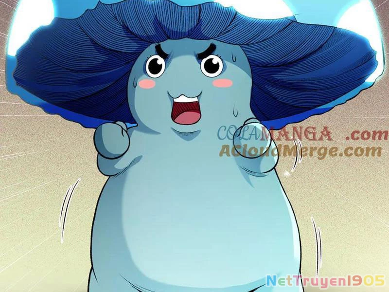 Gặp Mạnh Thì Mạnh, Ta Tu Vi Vô Thượng Hạn Chapter 48 - Trang 2