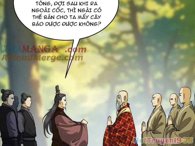 Gặp Mạnh Thì Mạnh, Ta Tu Vi Vô Thượng Hạn Chapter 48 - Trang 2