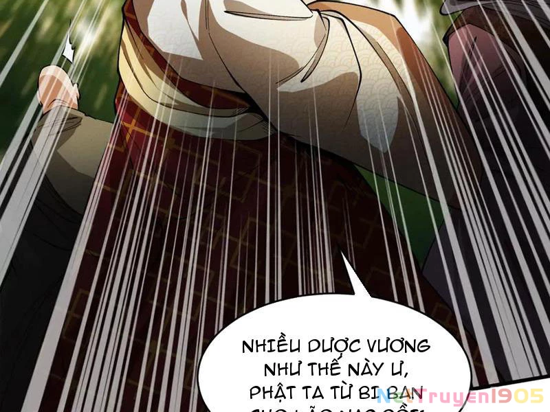 Gặp Mạnh Thì Mạnh, Ta Tu Vi Vô Thượng Hạn Chapter 48 - Trang 2