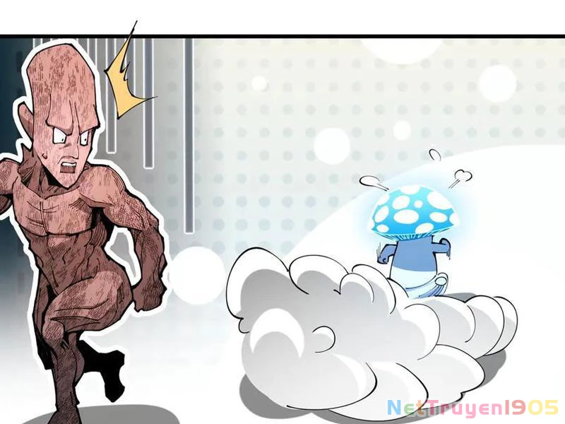 Gặp Mạnh Thì Mạnh, Ta Tu Vi Vô Thượng Hạn Chapter 48 - Trang 2