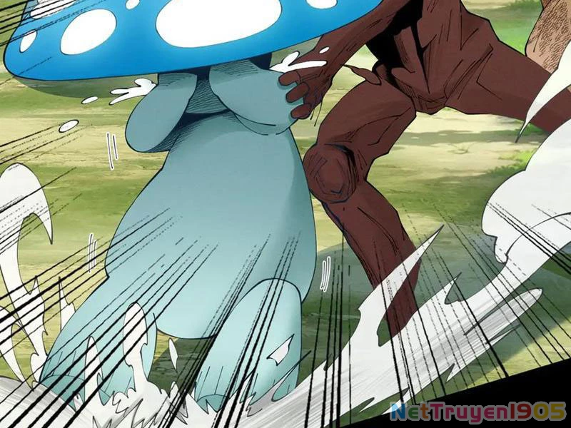 Gặp Mạnh Thì Mạnh, Ta Tu Vi Vô Thượng Hạn Chapter 48 - Trang 2
