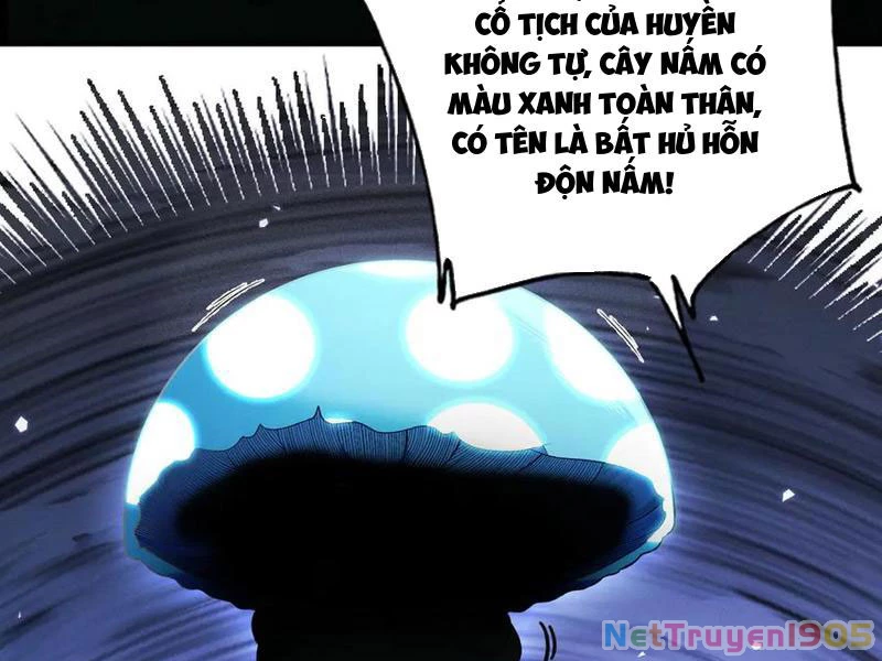 Gặp Mạnh Thì Mạnh, Ta Tu Vi Vô Thượng Hạn Chapter 48 - Trang 2