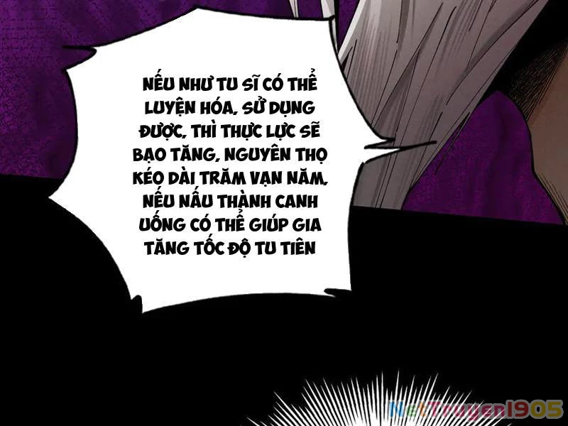 Gặp Mạnh Thì Mạnh, Ta Tu Vi Vô Thượng Hạn Chapter 48 - Trang 2
