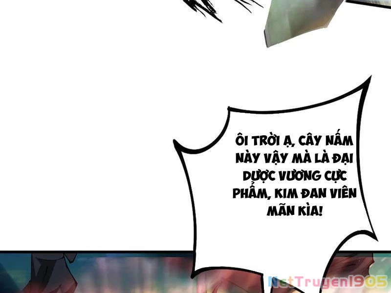 Gặp Mạnh Thì Mạnh, Ta Tu Vi Vô Thượng Hạn Chapter 48 - Trang 2