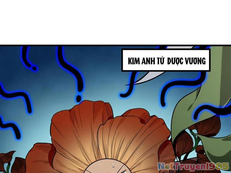 Gặp Mạnh Thì Mạnh, Ta Tu Vi Vô Thượng Hạn Chapter 48 - Trang 2